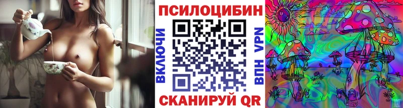 где найти наркотики  Тула  Галлюциногенные грибы Psilocybe 